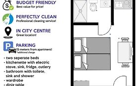 Budget Apartman Lelo Centar 3